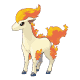 Ponyta